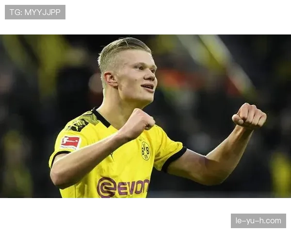 哈兰德德甲锋霸地位稳固，本赛季持续提升进球效率